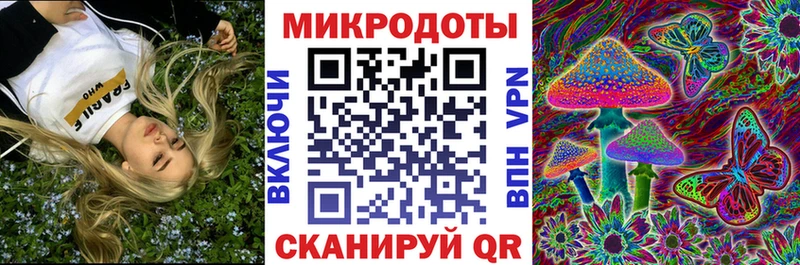 Галлюциногенные грибы прущие грибы  Шлиссельбург 